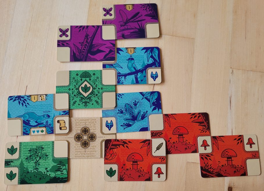 Blaue, rote, grüne, lilafarbene Karten und die beige Startkarte von "Codex Naturalis" in einer Spielerauslage.