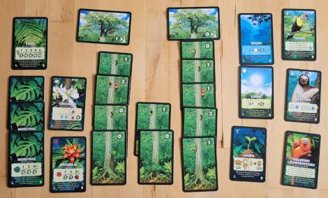 Das Waldgebiet eines Spielers zeigt Pflanzen, Tiere, Ereignisse und Bäume.