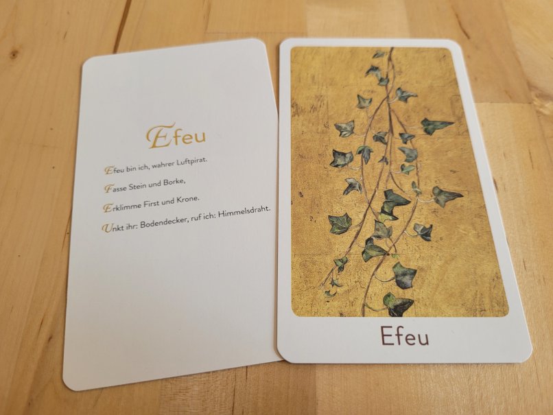 Das Gedicht und die Bildkarte von "Efeu".