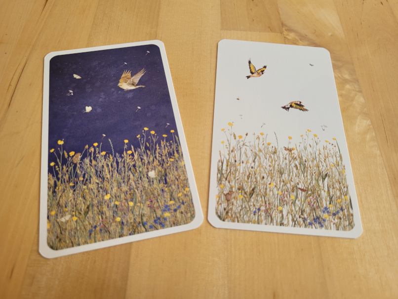 Zwei Karten zeigen eine gezeichnete Blumenwiese und Vögel bei Tag und bei Nacht.