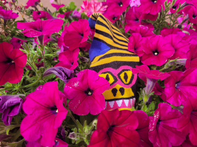 Die Monstersocke liegt zwischen pinken Blumen.