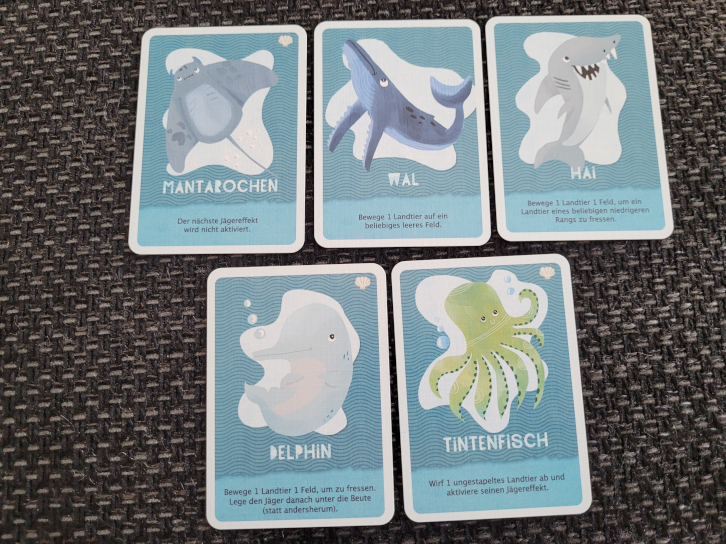 Fünf blaue Karten mit Mantarochen, Wahl, Hai, Delphin und Tintenfisch.