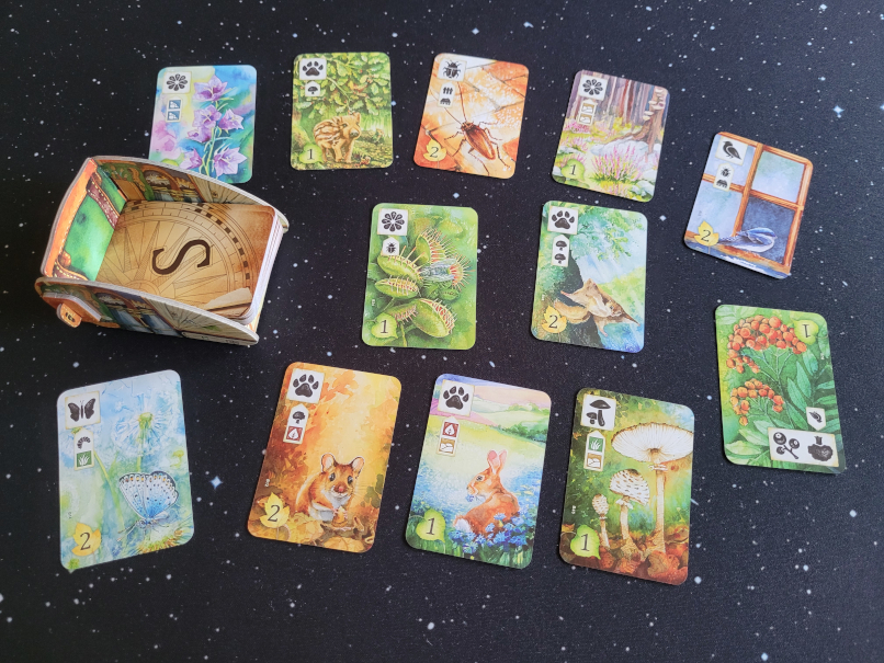 Ein Kartenstapel mit dem Buchstaben "S" auf den Kartenrückseiten. Daneben liegen zwölf Tier- und Pflanzenkarten aus.