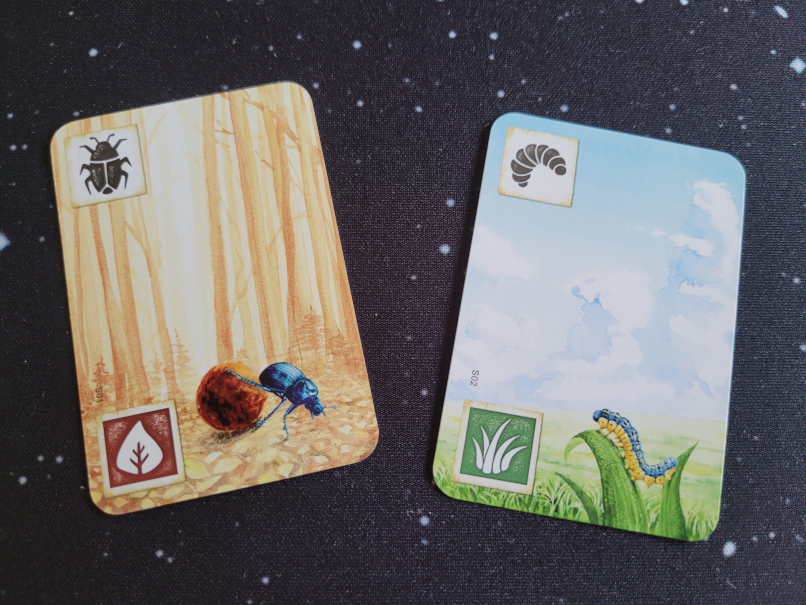 Zwei Karten, eine zeigt einen Käfer im Wald, eine eine Raupe auf Grashalmen.