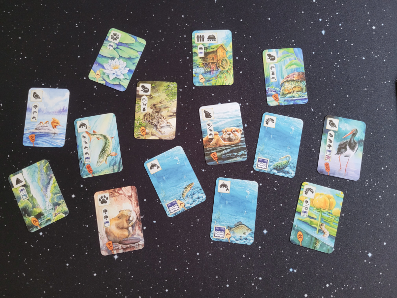 14 Karten mit Naturmotiven, unter anderem: ein Otter, eine idyllische Mühle, Fische, ein Biber, ein Wasserfall.