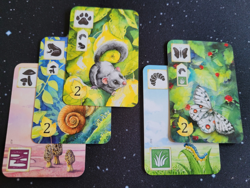 Fünf Karten mit Symbolen und Naturmotiven aus "Meadow".