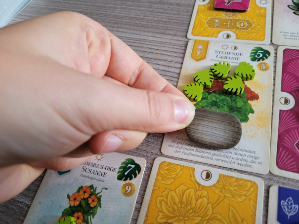 Eine Hand legt ein Topfplättchen auf eine Karte mit einer Pflanze.