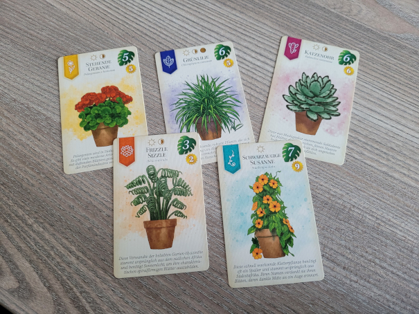Fünf Karten mit je einer Pflanze.