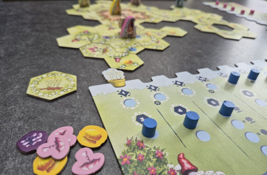 Spielmaterial von "Gnome Hollow".