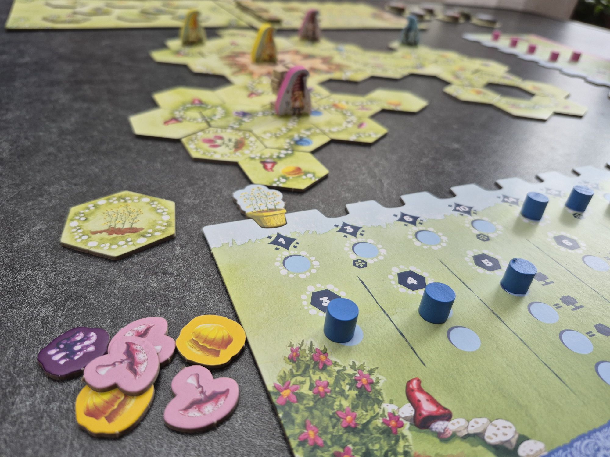 Gnome Hollow: Magische Pilze mit knuffigen Zwergen