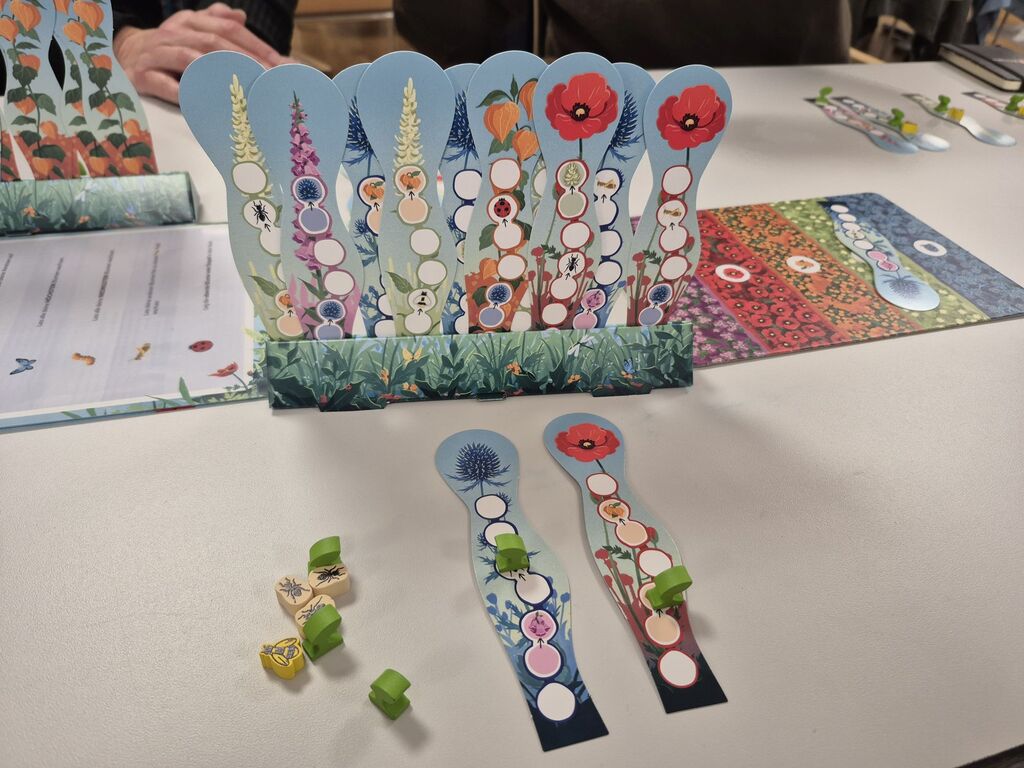 In einer Kartonleiste stecken viele verschiedene Blumen mit Spielfeldern.
