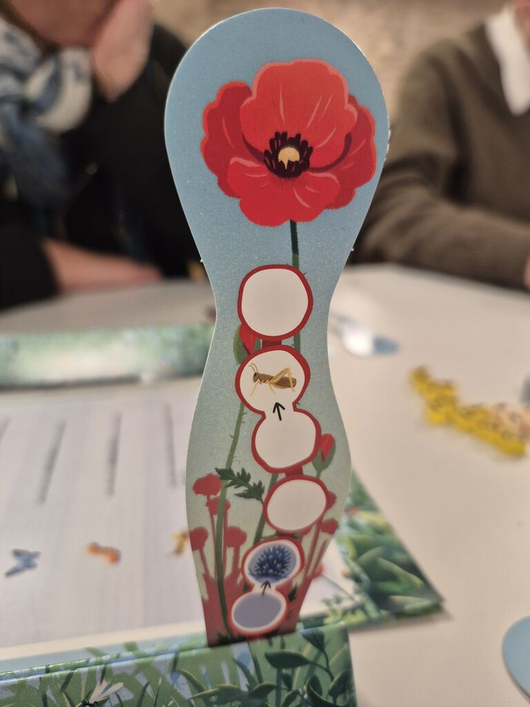 Ein Kartonteil, das Klatschmohn und Felder zeigt.