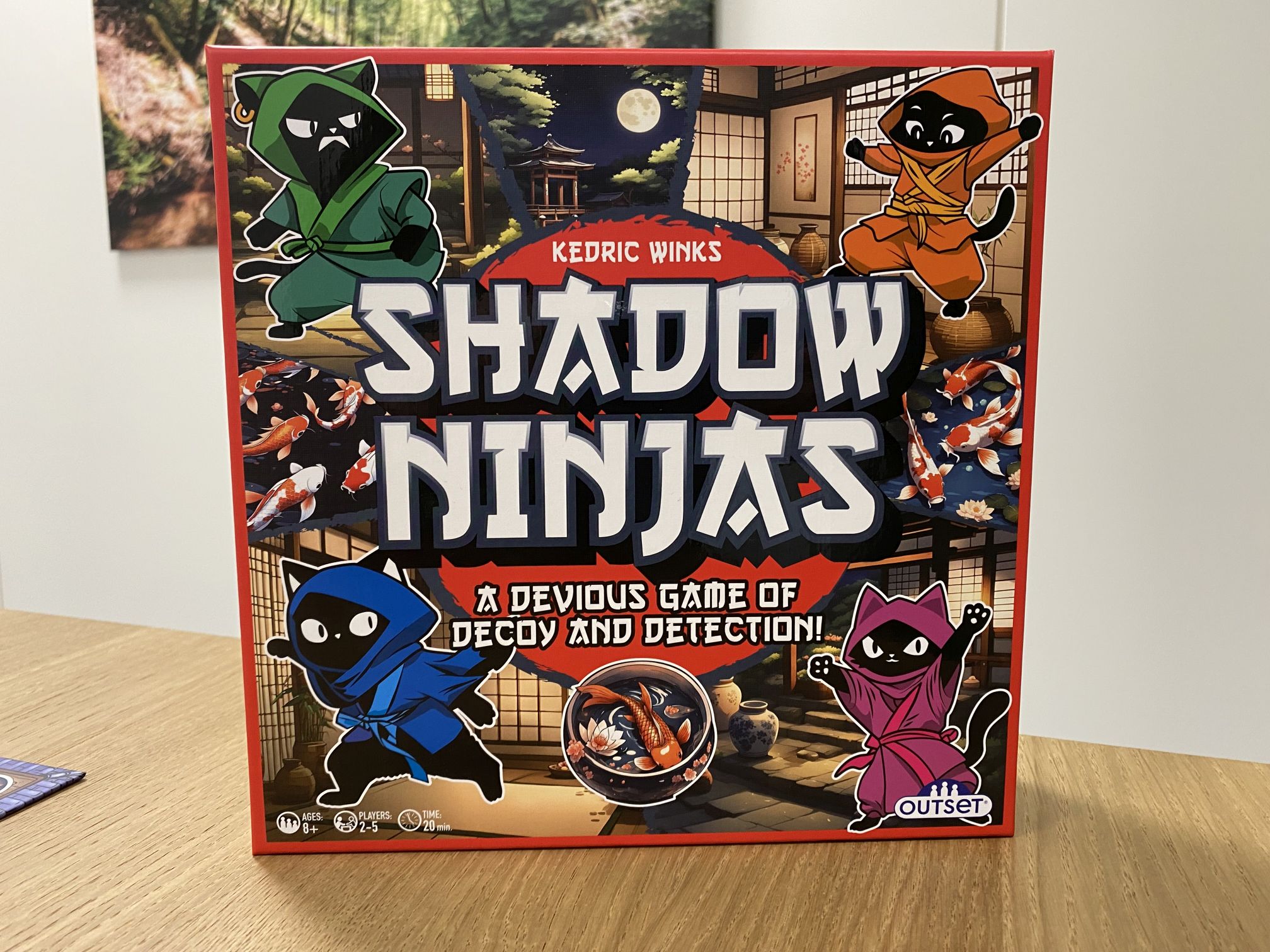 Shadow Ninjas: Spaßige Form von Hund jagt Katze