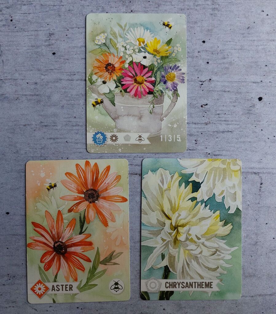 Drei Karten aus "Blumengarten".