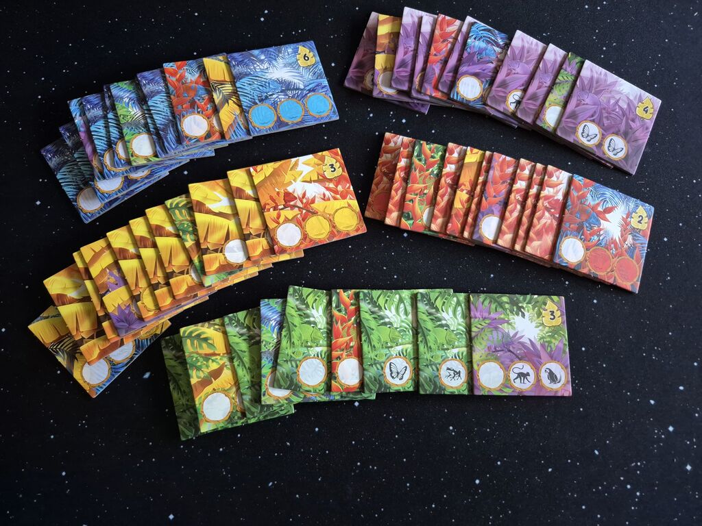 Fünf Reihen von bunten, quadratischen Plättchen.