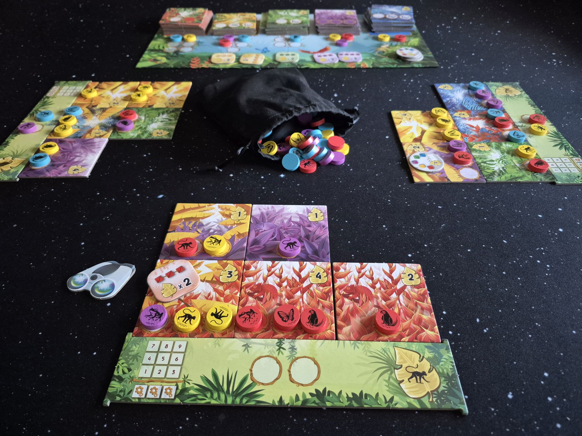 Rainforest: Gepuzzle mit Tier und Farbe