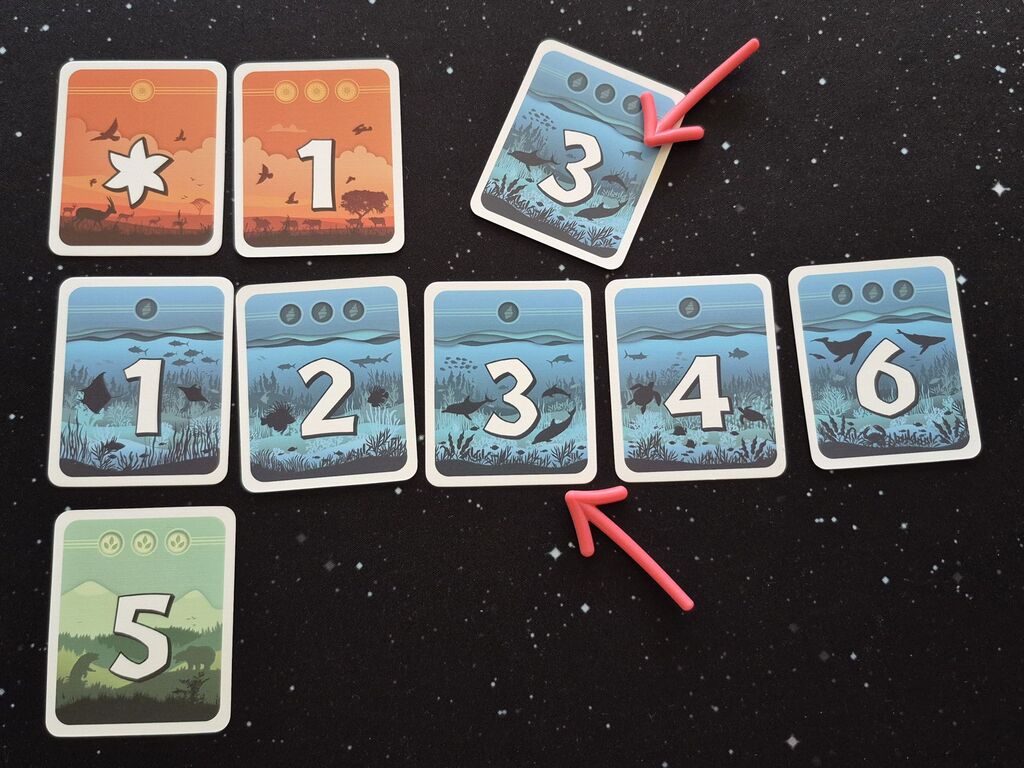 Karten in Reihen mit Zahlen und Symbolen.