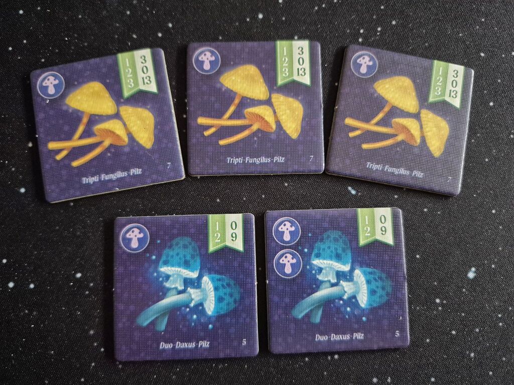 Plättchen mit Pilzen und Zahlen.