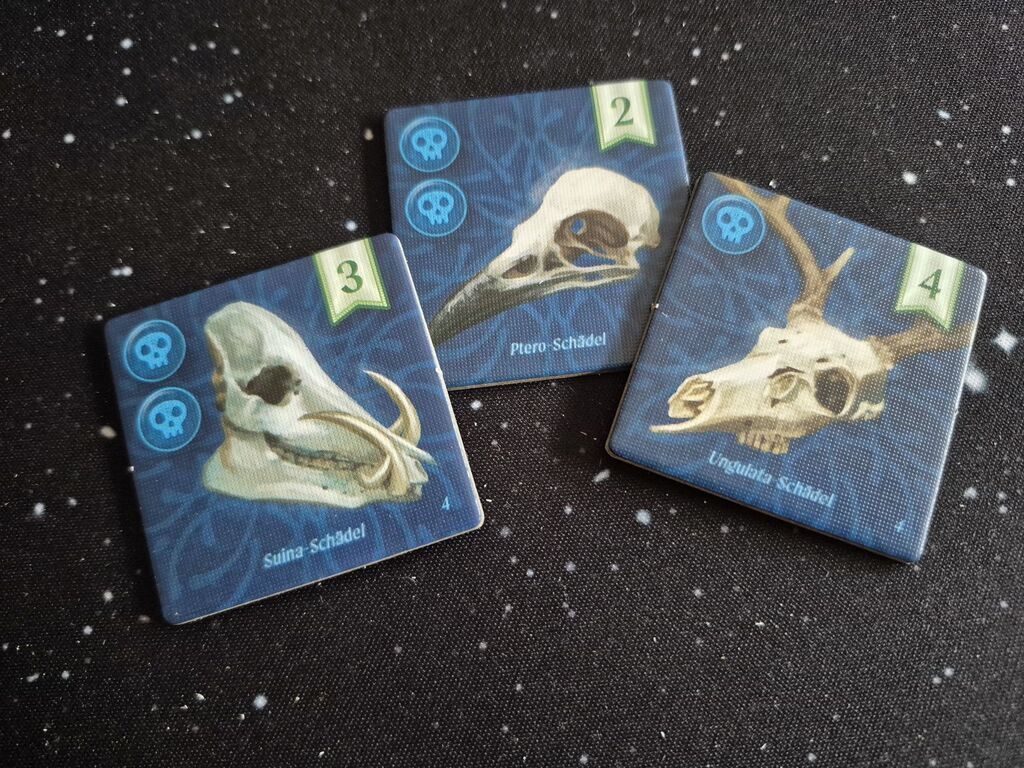 Drei Plättchen mit Tierschädeln und Symbolen.