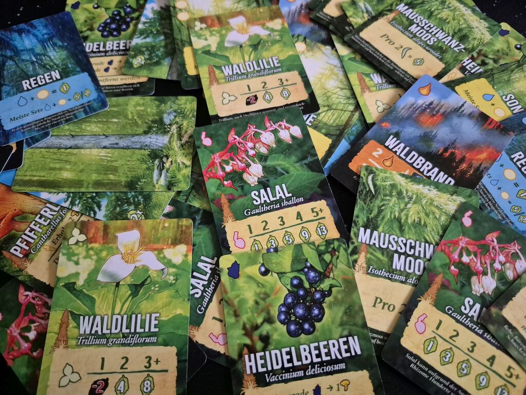 Pflanzenkarten mit Illustration, Zahlen und Symbolen.