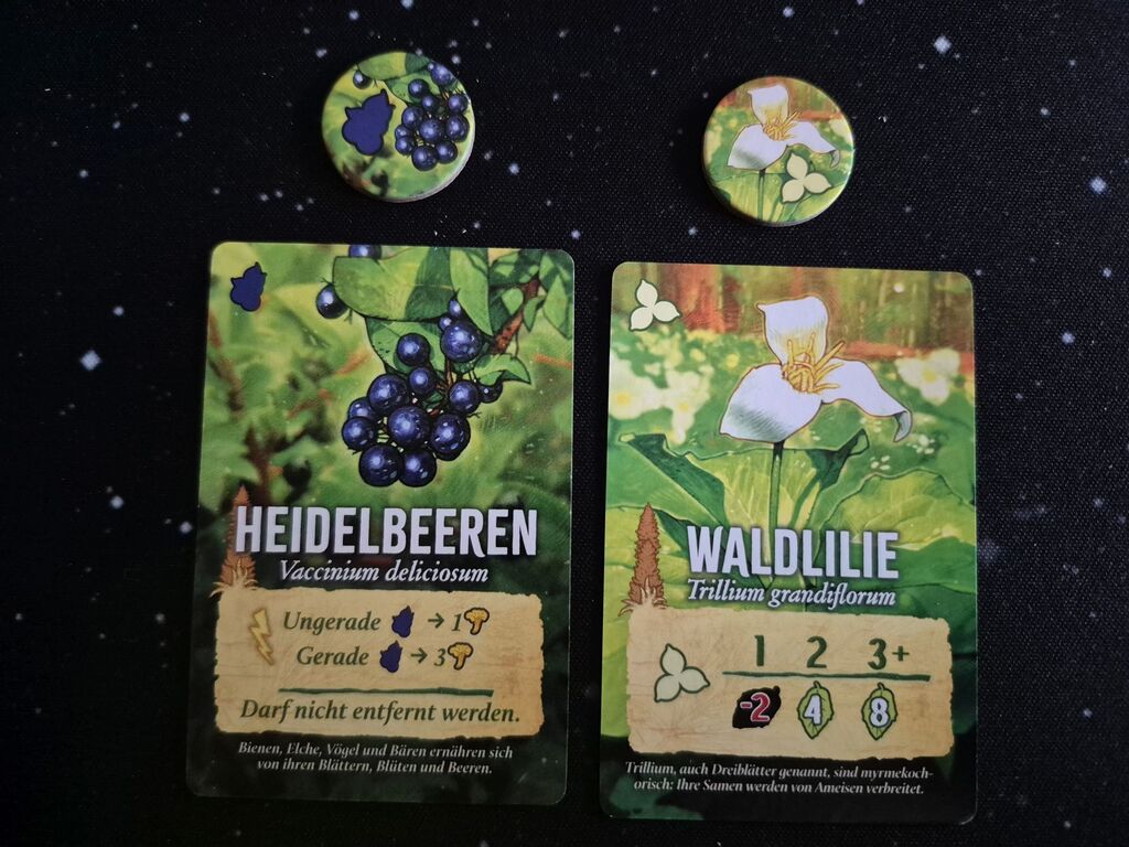 Zwei runde Marker, zwei Karten.