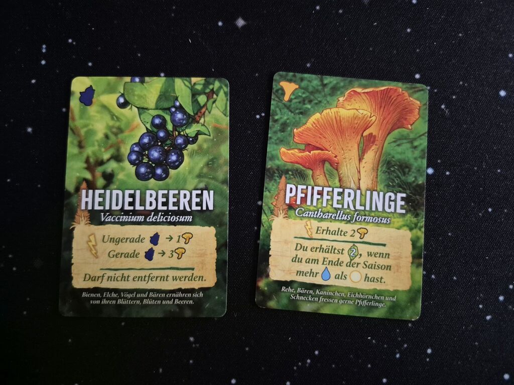 Zwei Karten mit Illustration, Text und Symbolen.