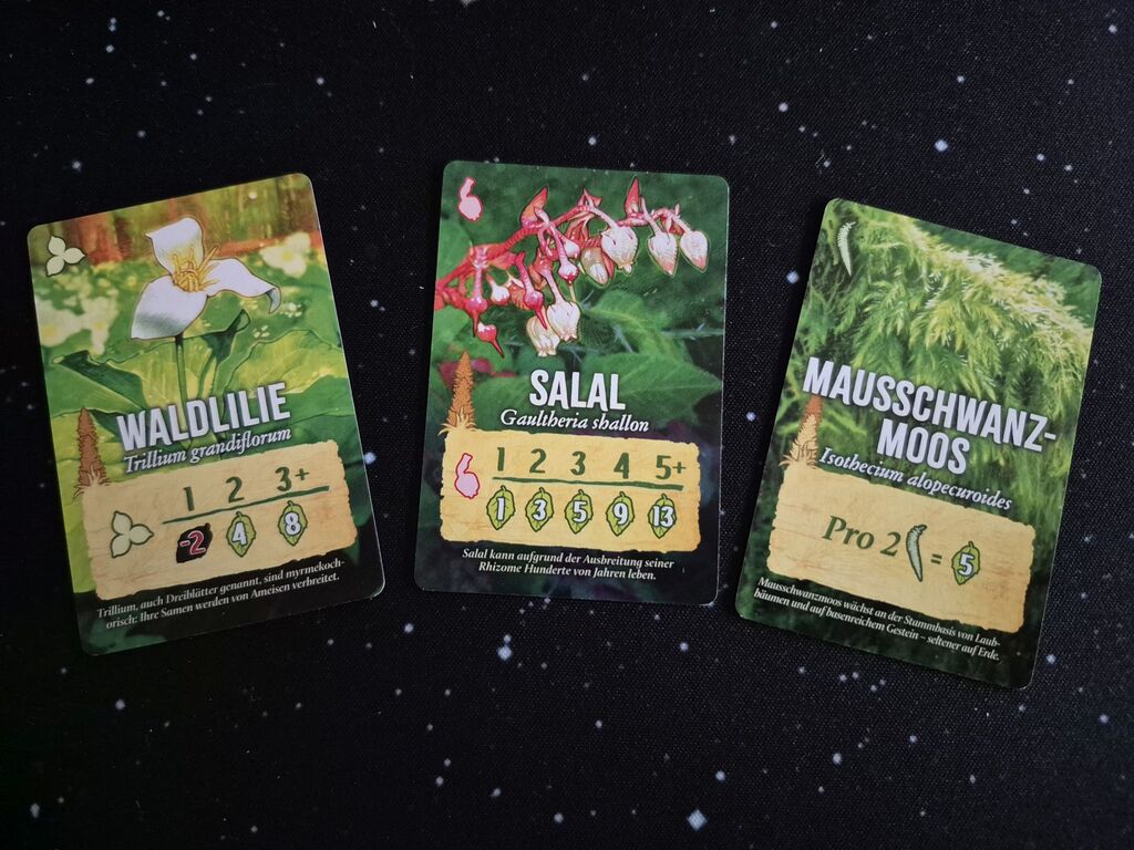 Drei Karten mit Illustration, Text und Zahlen.