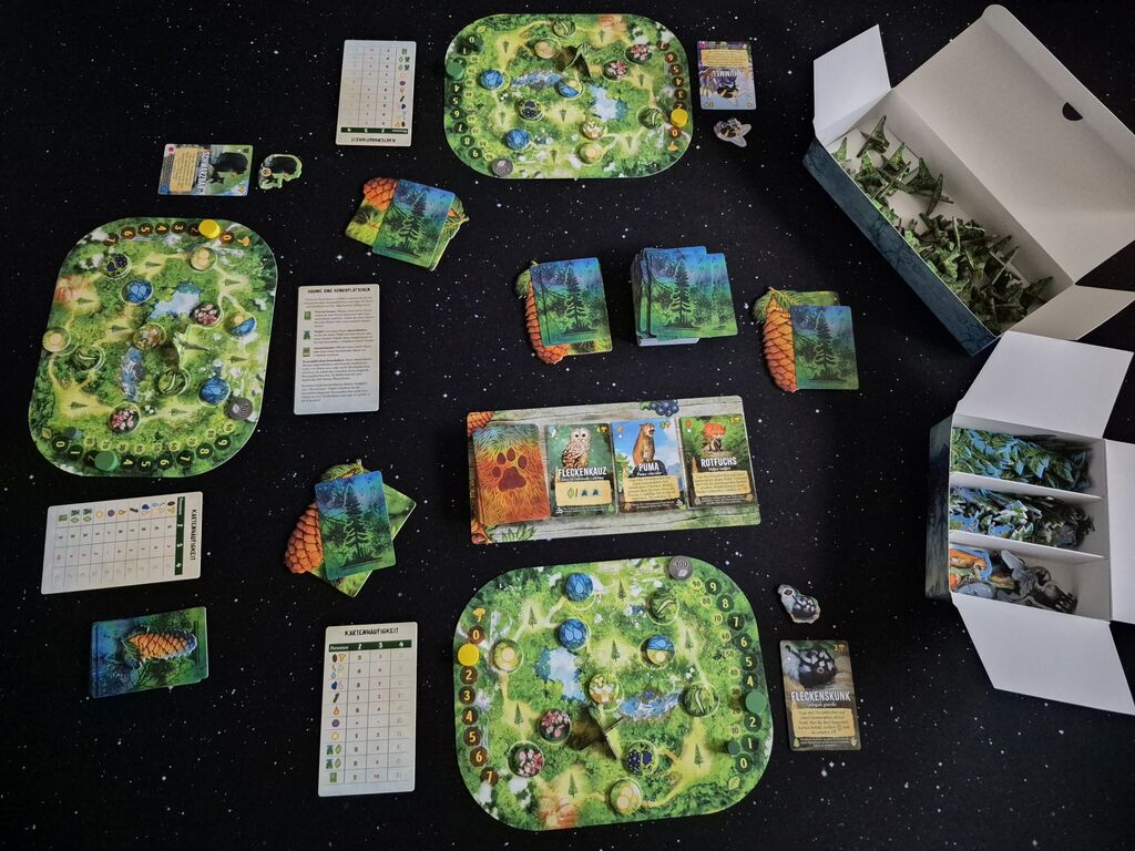 Spielaufbau von "Waldland".