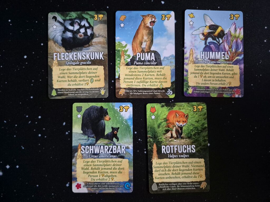 Fünf Karten mit Tieren, Text und Symbolen.