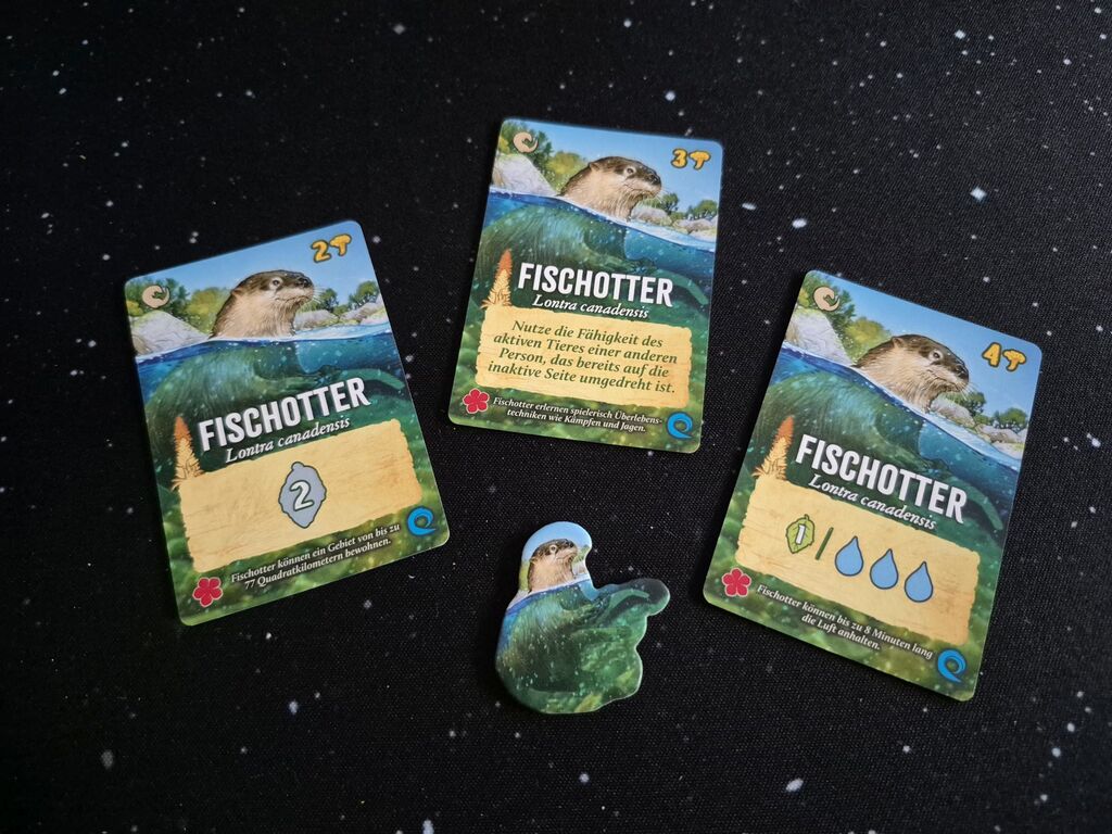 Ein Marker und drei Karten mit Fischotter, Text und Symbolen.