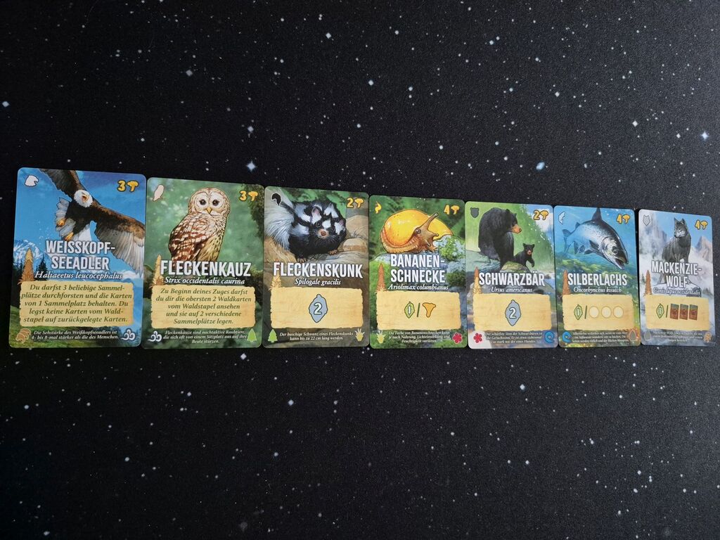 Karten aus "Waldland" in einer Reihe.
