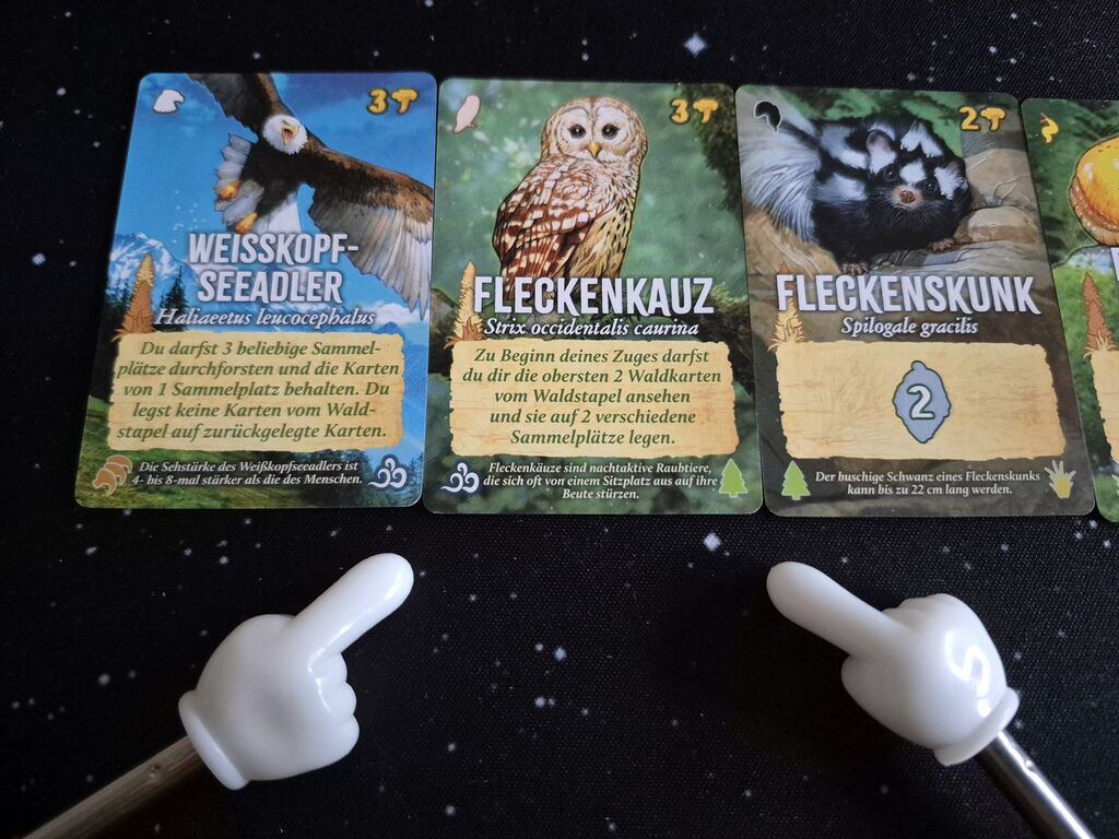 Karten mit Tieren, Text und Symbolen.