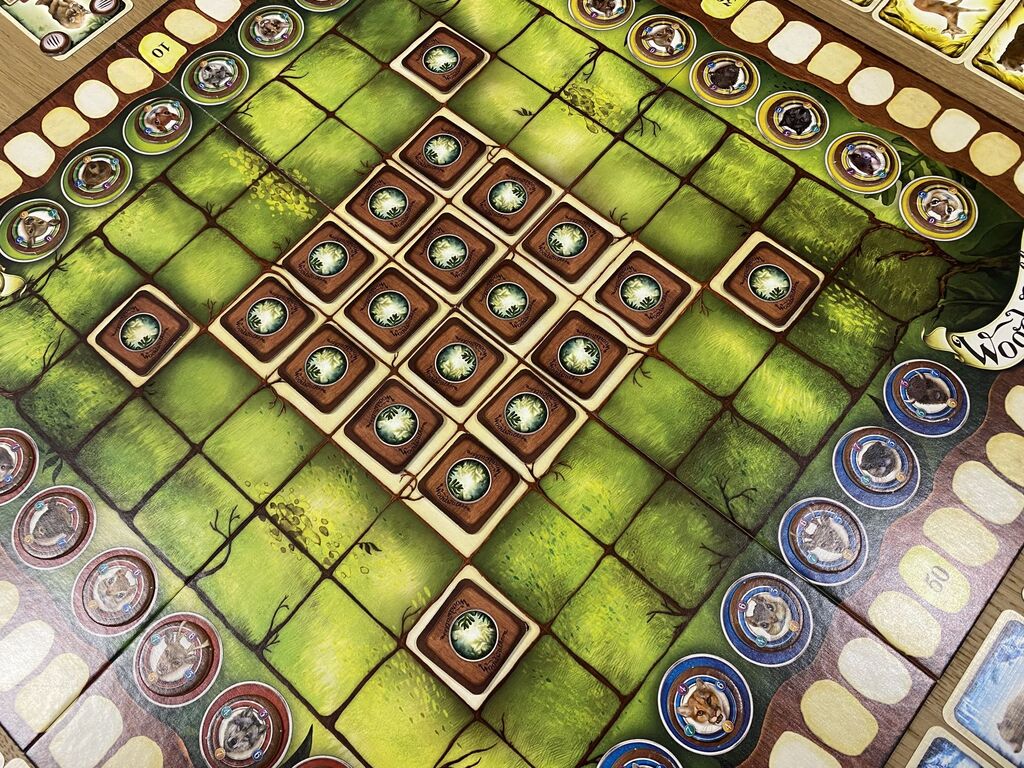 Ein Teil des Spielplans mit verdeckten Plättchen.