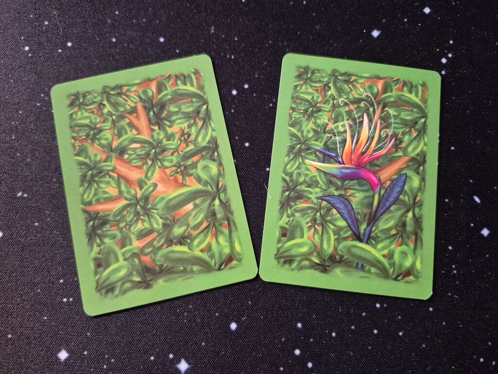 Karte mit Blättern, Karte mit kurioser, bunter Blüte.