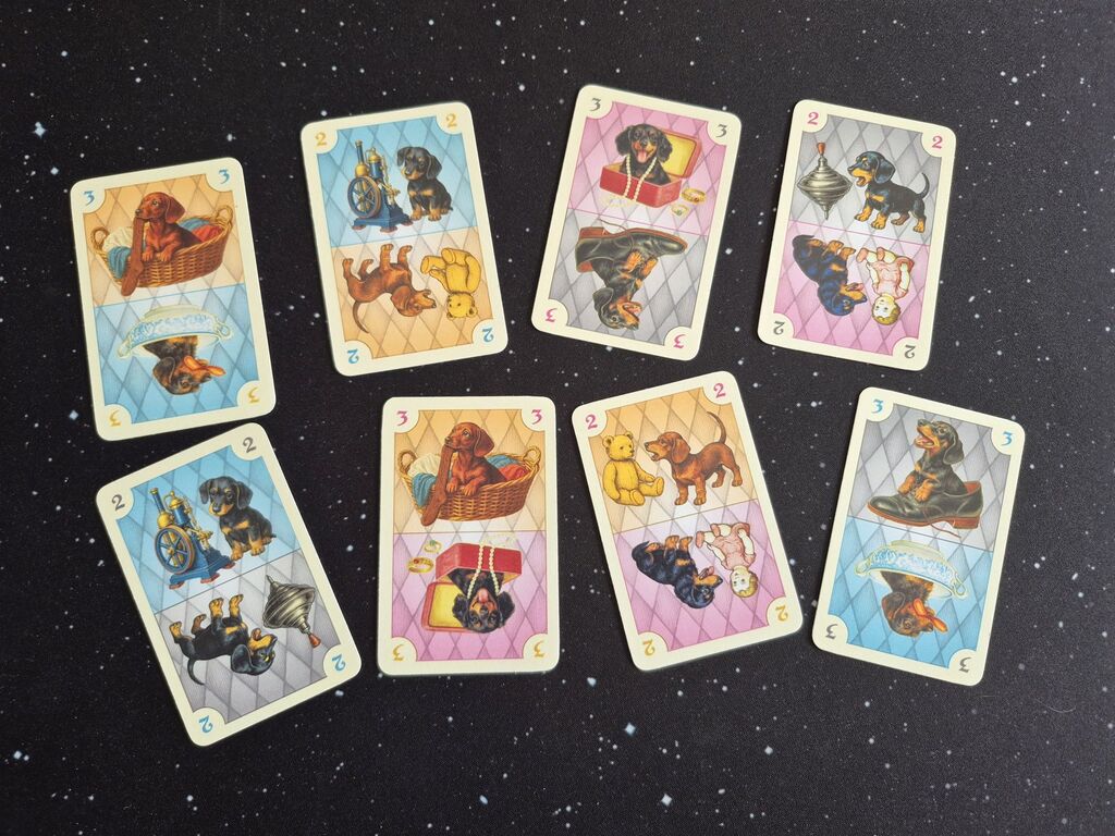 Karten mit extrem putzigen Dackelwelpen.