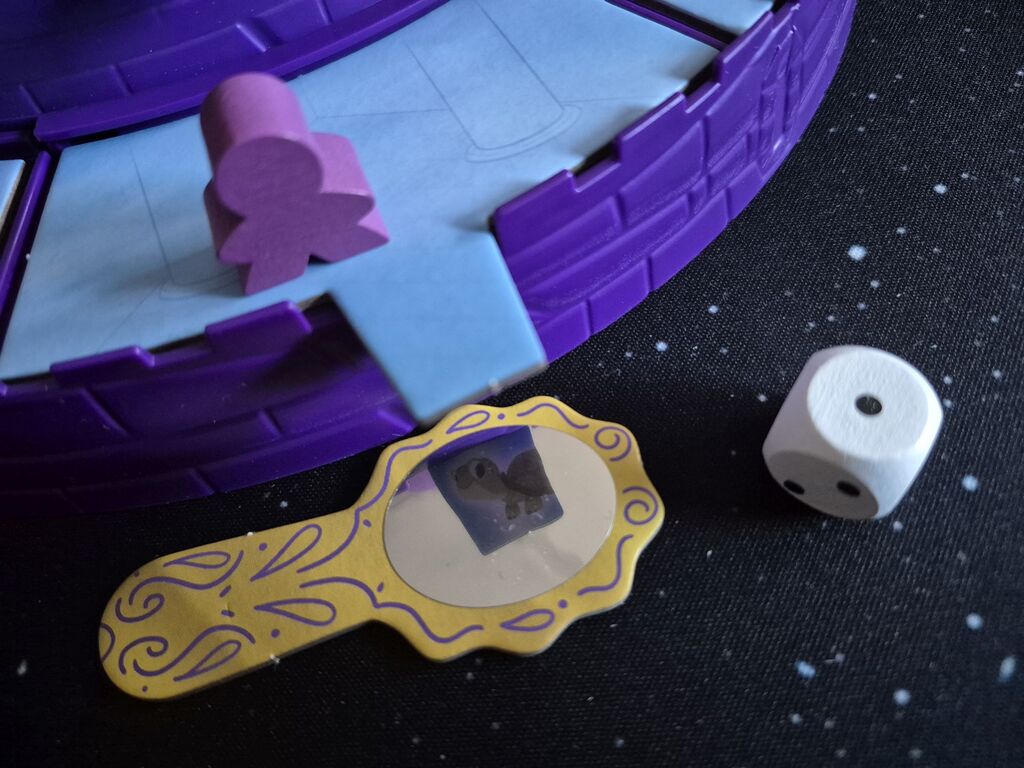 Schildkröte spiegelt sich in kleinem Spiegel.