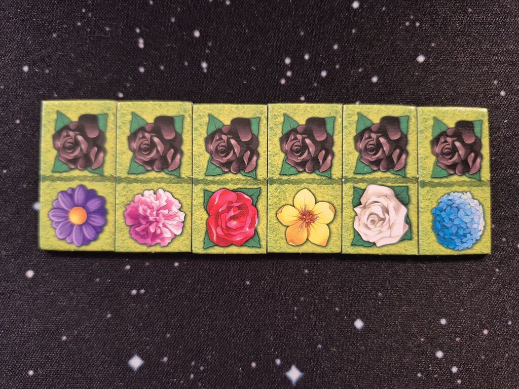 Sechs Plättchen mit je einer schwarzen Rose und einer anderen Blume.