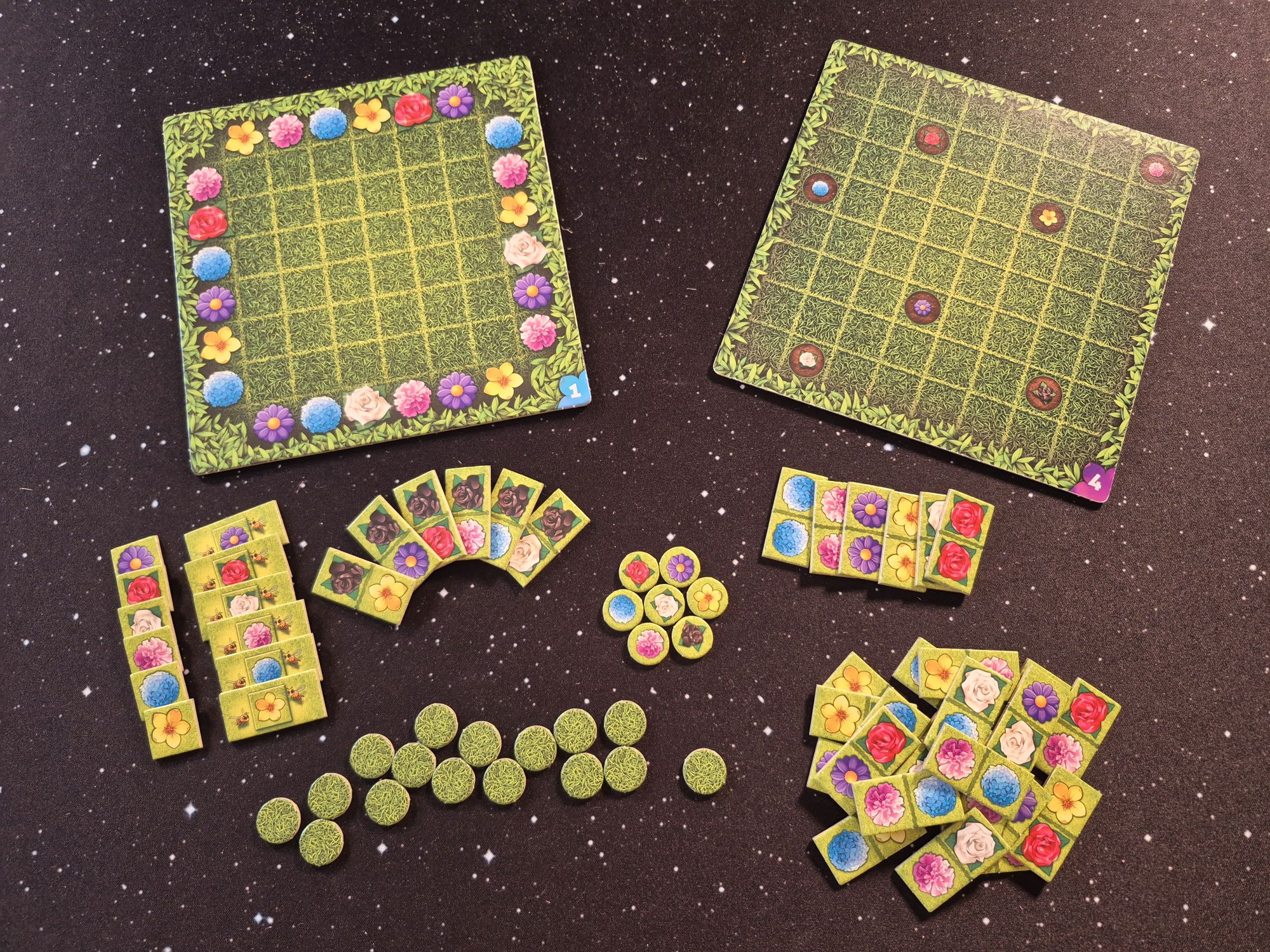 For One – Schwarze Rosen: Schönes Solo-Blumenpuzzle