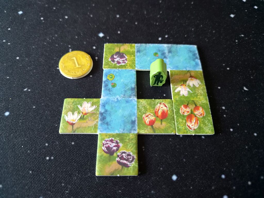 Plättchen, grüne Spielfigur, Münze.