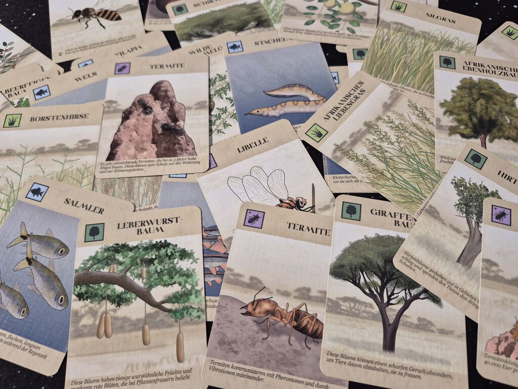 Karten aus "Kavango".