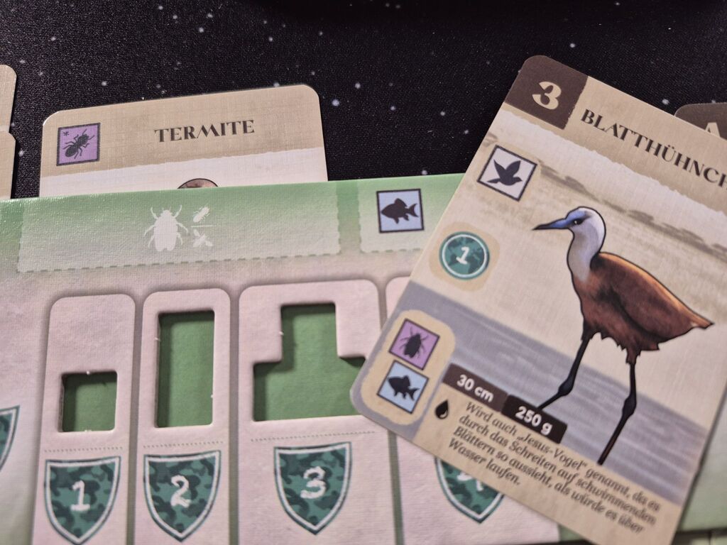 Karten mit Symbolen bei Spielplan mit Symbol.