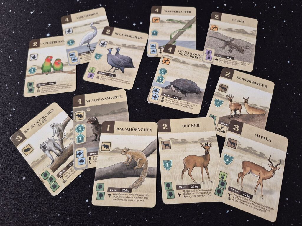 Karten mit Tierillustration, Text, Symbolen.