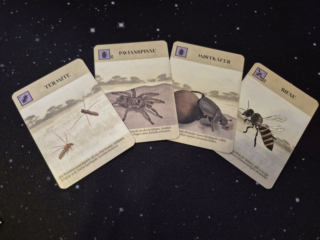 Karten mit Insekten, Text und Symbol.