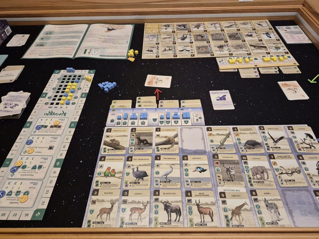 Spielmaterial von "Kavango".