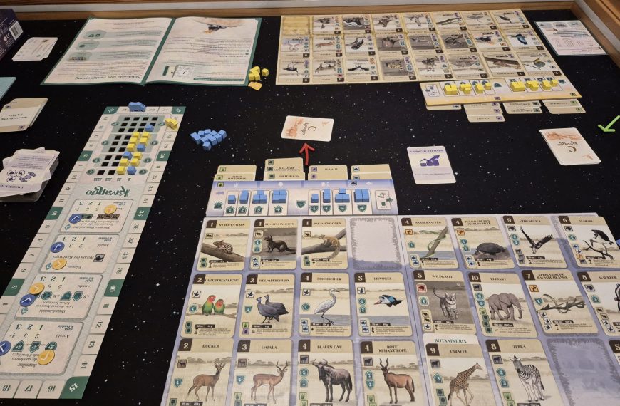 Spielmaterial von "Kavango".