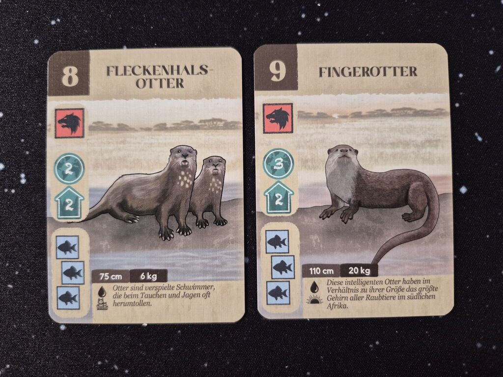 Zwei Karten mit Otter, Symbolen und Text.