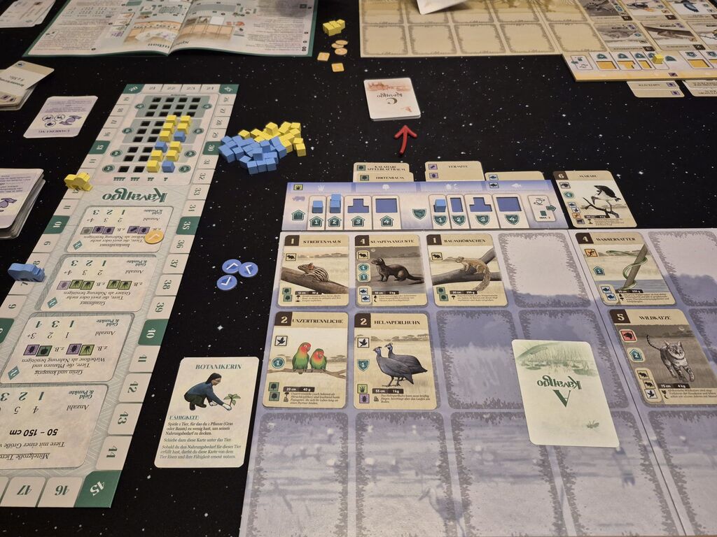 Spielmaterial im Spielverlauf.