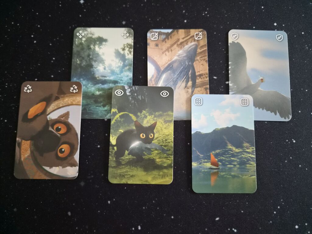 Sechs Karten mit Illustration und Symbolen.