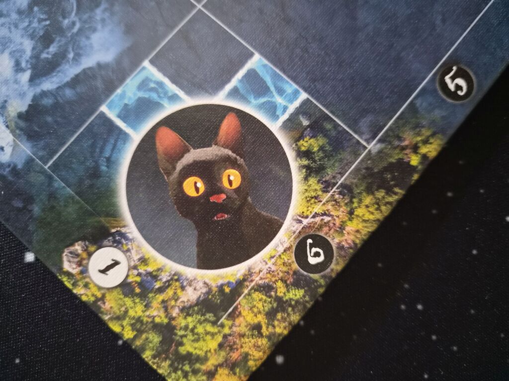 Spielplanausschnitt mit Katze.
