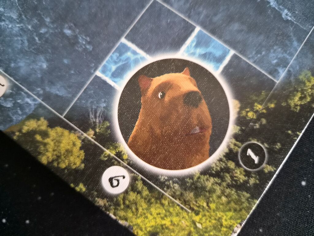 Spielplanausschnitt mit Wasserschwein.